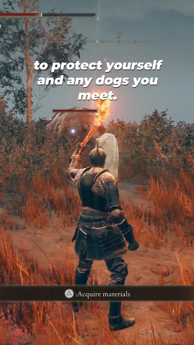 Praise the sun! Meet some of the amazing new dogs in the #EldenRing DLC #ShadowOfTheErdtree We ❤️ the glowy worm friends!