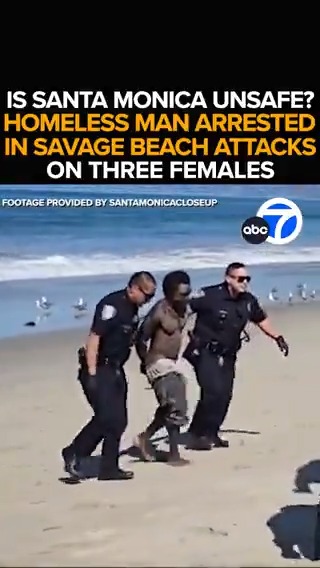 A homeless man under arrest after Santa Monica attacks where a girl was assaulted, another woman was nearly strangled, and an elderly woman was dragged into the ocean and held under water. Is Santa Monica too dangerous for tourists? Tonight at 11 from ABC7