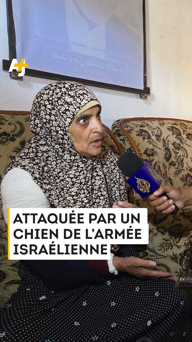 “Ils ont lâché les chiens sur moi et ils m’ont mordue pendant que je dormais” : à Gaza, cette Palestinienne de 68 ans a été attaquée par un chien de l’armée israélienne pendant son sommeil. Attention, images difficiles :