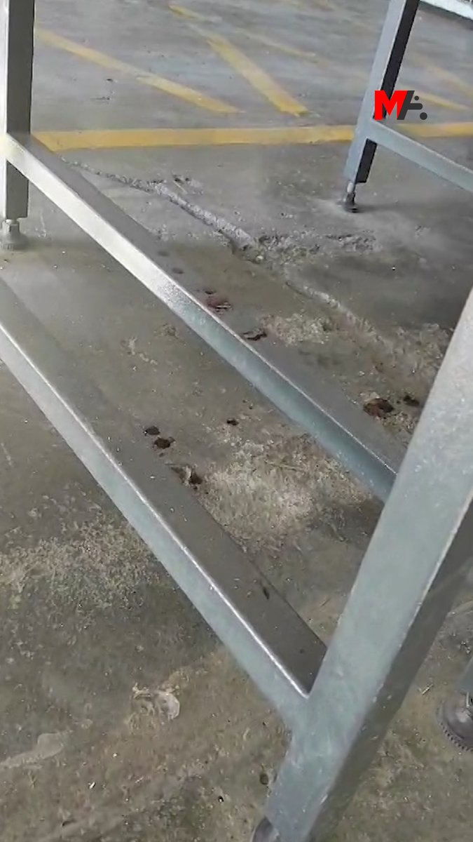 Kaldırıldığı hastanede yaşamını yitiren hasta tutsak Şefik Esen’in cenazesi, hiçbir tıbbi tedbir alınmadan açık yaralarla ailesine teslim edildi. Esen’in tabutunun altından kanların aktığı ve tabutun havaalanı personeli tarafından streçle sarıldığı görüldü