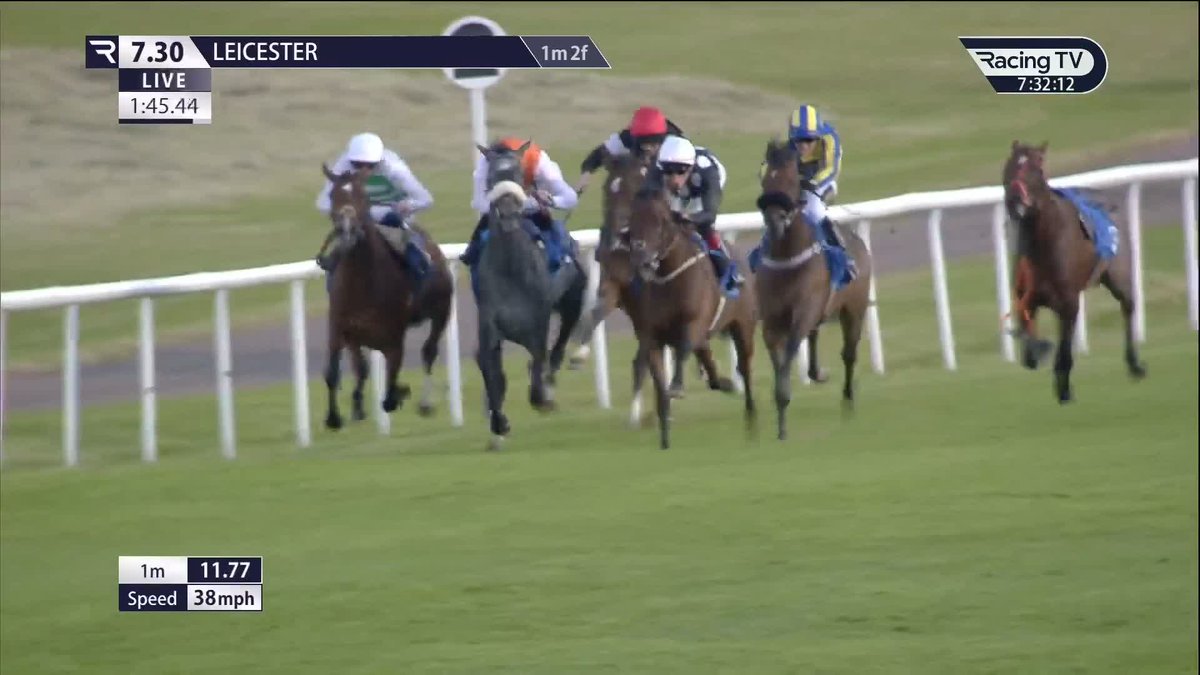 🏆 Watch On Racing TV Handicap 🏆 🥇 Samoon Star 🥈 Mariner 🥉 Dibble Dabble David Egan | Hughie Morrison Racing