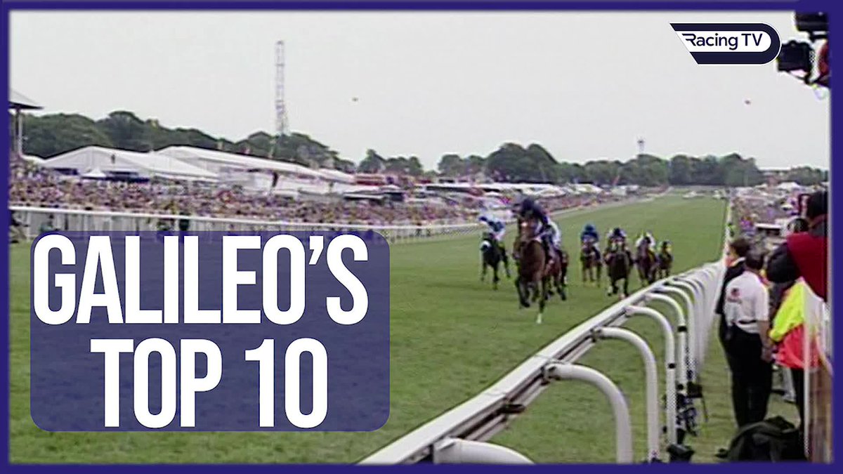 🐴 Galileo's Top 10 🐴 From Frankel to Minding...here are ten of Galileo's greatest offspring 😻 Who would make your list?