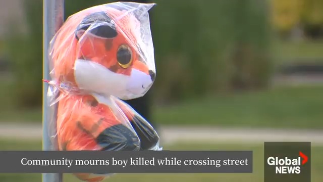 A community is in mourning after a three-year-old boy died after being hit by a pickup truck while crossing the street in Edmonton’s south end. A growing memorial is now at the spot. Erik Bay has the story. #yeg