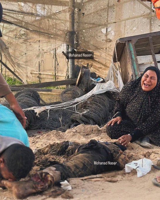 ذهبوا ليبحثوا عن والدهم فوجوده ممزق بعد أن مشت عليه الدبابة، لم يجدوا إلا قدمه ليقبلوها حسبنا الله ونعم الوكيل