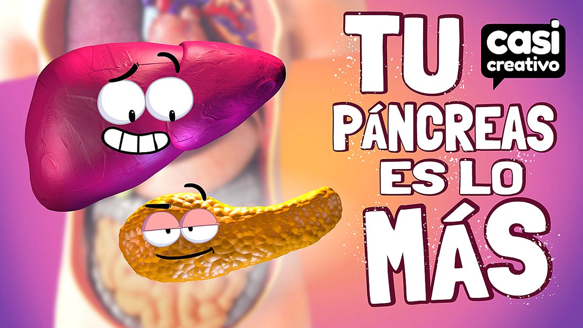 El páncreas produce insulina, una hormona crucial para regular los niveles de azúcar en la sangre.