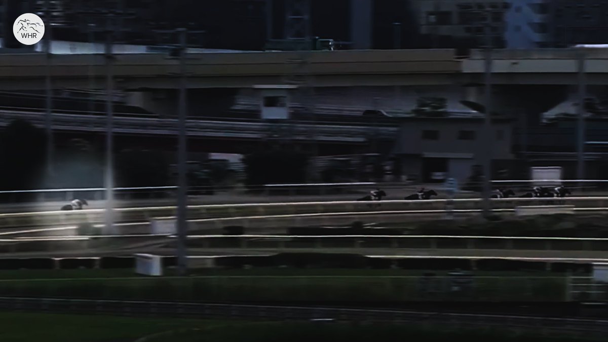 YOU WON'T BELIEVE YOUR EYES AFTER WATCHING THIS 🤯 Where the hell did this horse come from?! 🤣 🎬 World Horse Racing