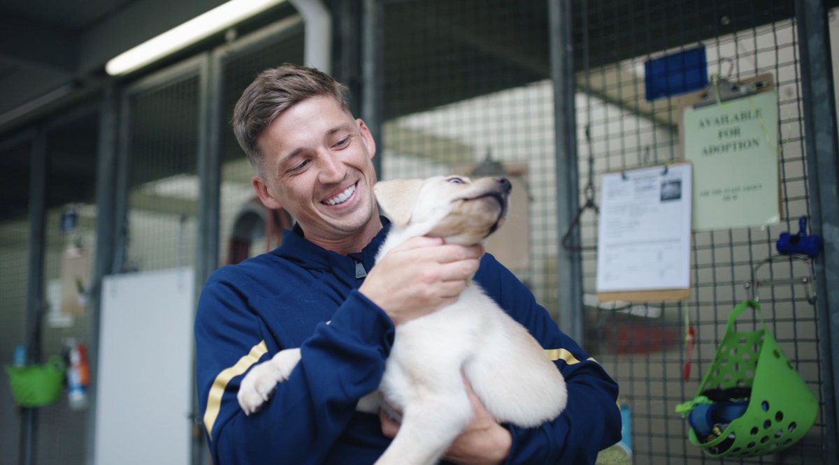The moment Ryan Gauld found out he's an All-Star 🥹⭐️ A special thanks to BC SPCA / BCSPCA for helping us surprise our Captain with their adorable adoptable pup named All-Star 💙 #VWFC x #MLSAllStar