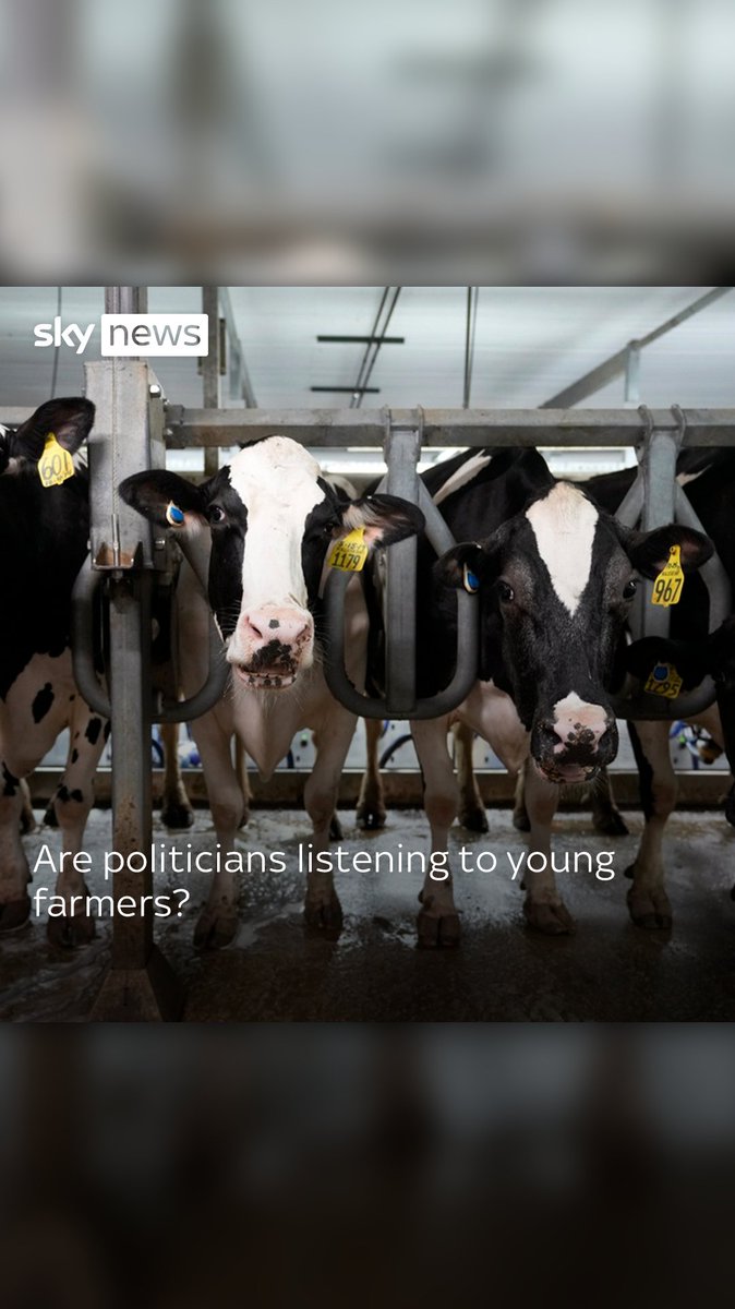 Are politicians listening to young farmers? Having just graduated, Mary wants to know if the politicians are listening to young farmers and if they're willing to assure them their industry is protected. Election latest: