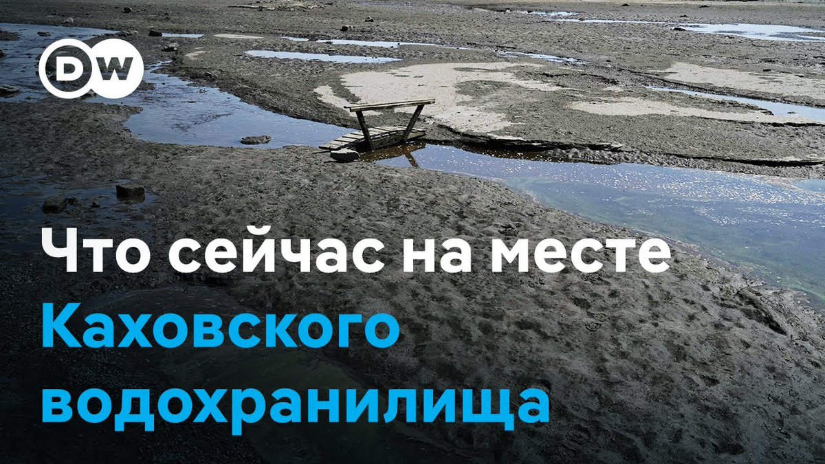Подрыв Каховской ГЭС в июне 2023 года называют крупнейшей экологической катастрофой в Украине со времен Чернобыля. Однако спустя год экологи выступают против восстановления водохранилища: здесь уже вырос молодой лес и появились дикие животные. Вот как территория выглядит сейчас