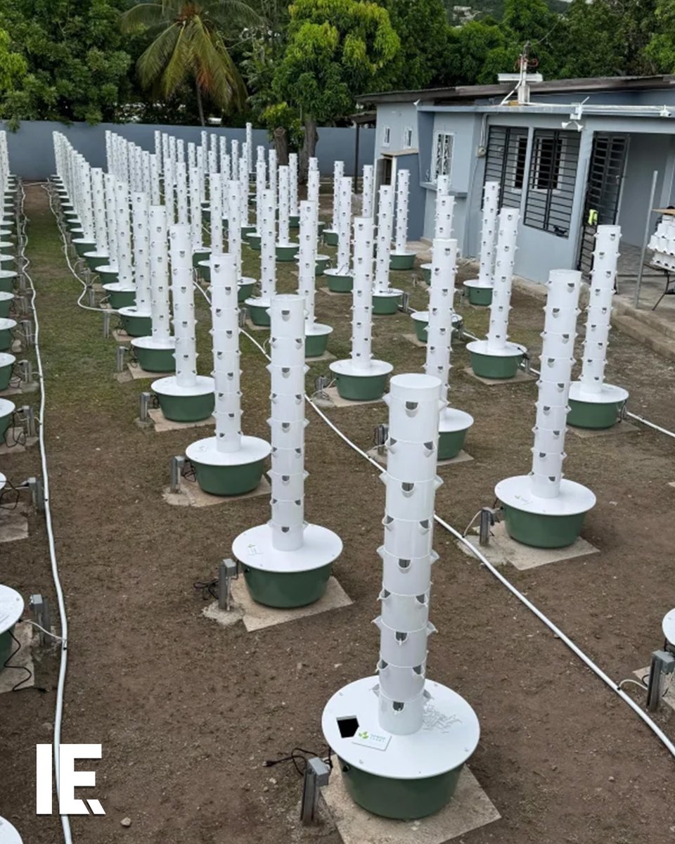 Vertical farming is a 21st century way of maximizing agricultural output in a small space. It uses cutting-edge technology like aeroponic towers as as-needed watering systems. That lets people grow food for their own use and for sale in much smaller "farms."