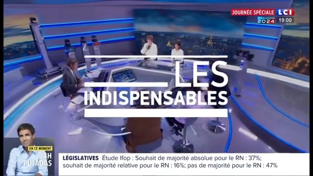 Voici résumé les candidats #RN DONT CERTAINS PEUVENT ETRE DEPUTES DIMANCHE ! Une dechetterie à ciel ouvert ! Le futur gouvernement de Bardella ? #honte