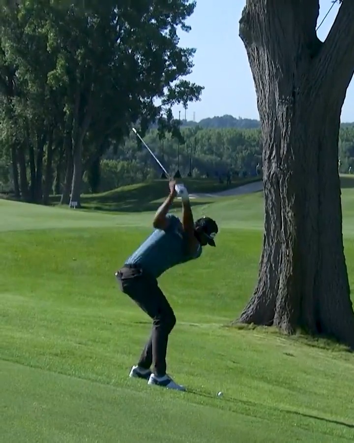 Tree trouble? Not a problem 😲 Sahith Reddy Theegala curves it around the trees and onto the green John Deere Classic. #TOURVault