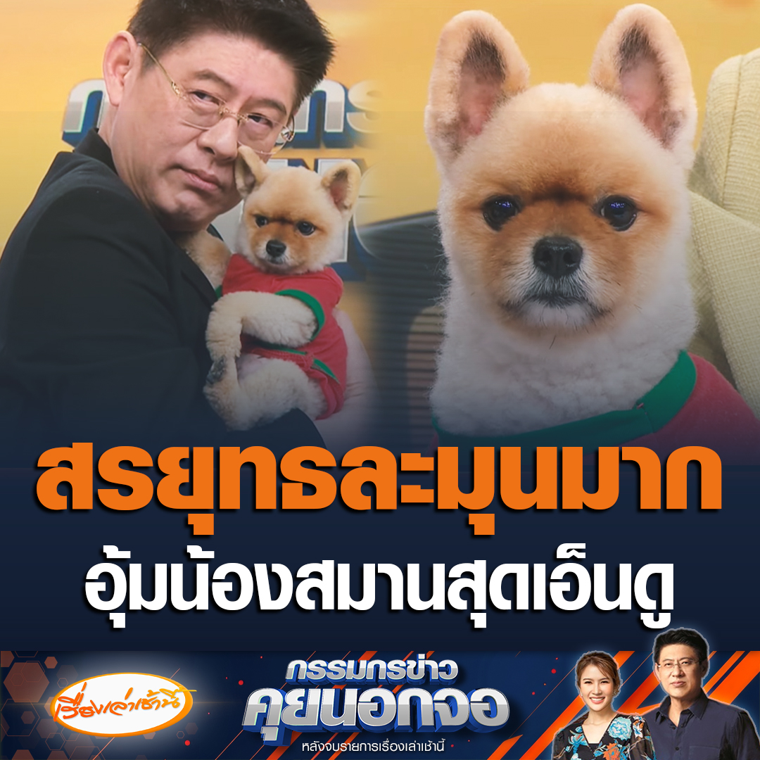 ตามคำเรียกร้อง! น้องสมาน หมาของสรยุทธบุกห้องส่ง แก้ข่าวบอกมันเดินได้ไม่ใช่ตุ๊กตา เกิดอาการน้อยใจตอนอยู่กับตัวเองทำเป็นนิ่ง พออยู่ไบรท์เดินได้ คอมเมนต์แซวน่ารักสุดๆ #เรื่องเล่าเช้านี้ #ข่าวช่อง3 #กรรมกรข่าวนอกจอ