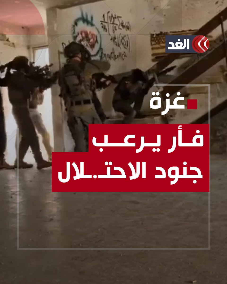 فأر يتسبب في هلع ورعب وهروب جنود الاحتـ.ـلال أثناء اقتحام أحد المنازل بغزة #قناة_الغد