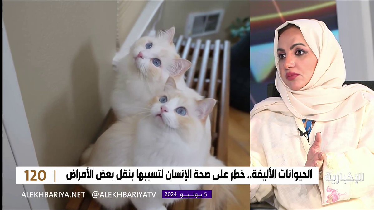 فيديو | الاختصاصية في الصحة العامة د. لمياء البراهيم: لتجنب نقل الأمراض من الحيوانات الأليفة يجب غسل اليدين بعد ملامستهم ويفضل عدم دخولهم إلى غرف النوم #برنامج_120 | #الإخبارية