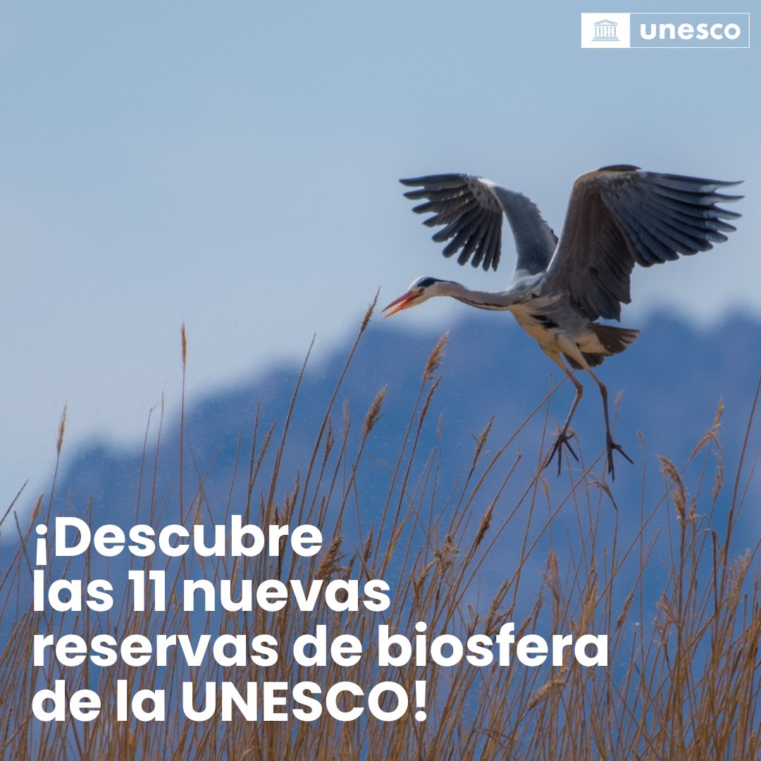 🔴 ÚLTIMA HORA: La UNESCO en español 🏛️#Educación #Ciencia #Cultura ha añadido 11 nuevas #ReservasDeBiosfera a su red mundial. Estos sitios únicos fortalecen el vínculo entre las comunidades y la naturaleza, abordando desafíos globales a nivel local. ¡Descúbrelas!