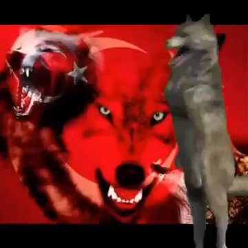 Almanya’yı eleyen İspanyolların paylaştığı video: