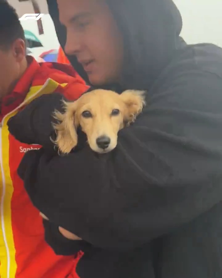 Make way, make way for the VIP! (Very important pup 🐾) #F1 #BritishGP Charles Leclerc