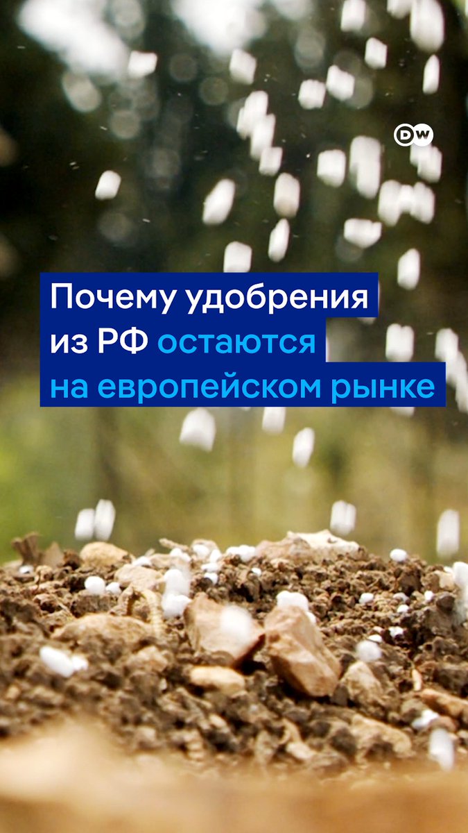 Минеральные удобрения из России так и не попали под санкции ЕС, она остается одним из основных европейских экспортеров. Причина - в дешевизне продукта, которую РФ может себе позволить за счет своих больших запасов газа #dwbusiness