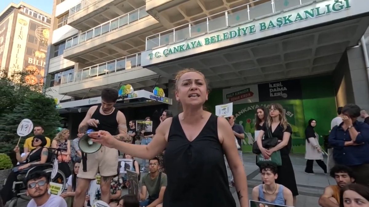 Sokak köpeklerini uyutma veya ötenazi adı altında öldürmeyi içeren yasa tasarısına karşı çıkan yaşam hakkı savunucuları Sokaktayım Yanındayım Direnişi'nin yaşam nöbetlerinde, her gün saat 18.30'da buluşuyor ve tüm yurttaşları #SokaktayımYanındayım diyerek ses çıkarmaya çağırıyor.