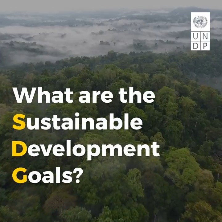 In 2015, United Nations Member States adopted the 17 Sustainable Development Goals. But what are the #SDGs or #GlobalGoals? As the 2024 High-level Political Forum gets underway today through 17 July, check out this video and find out more at: #HLPF