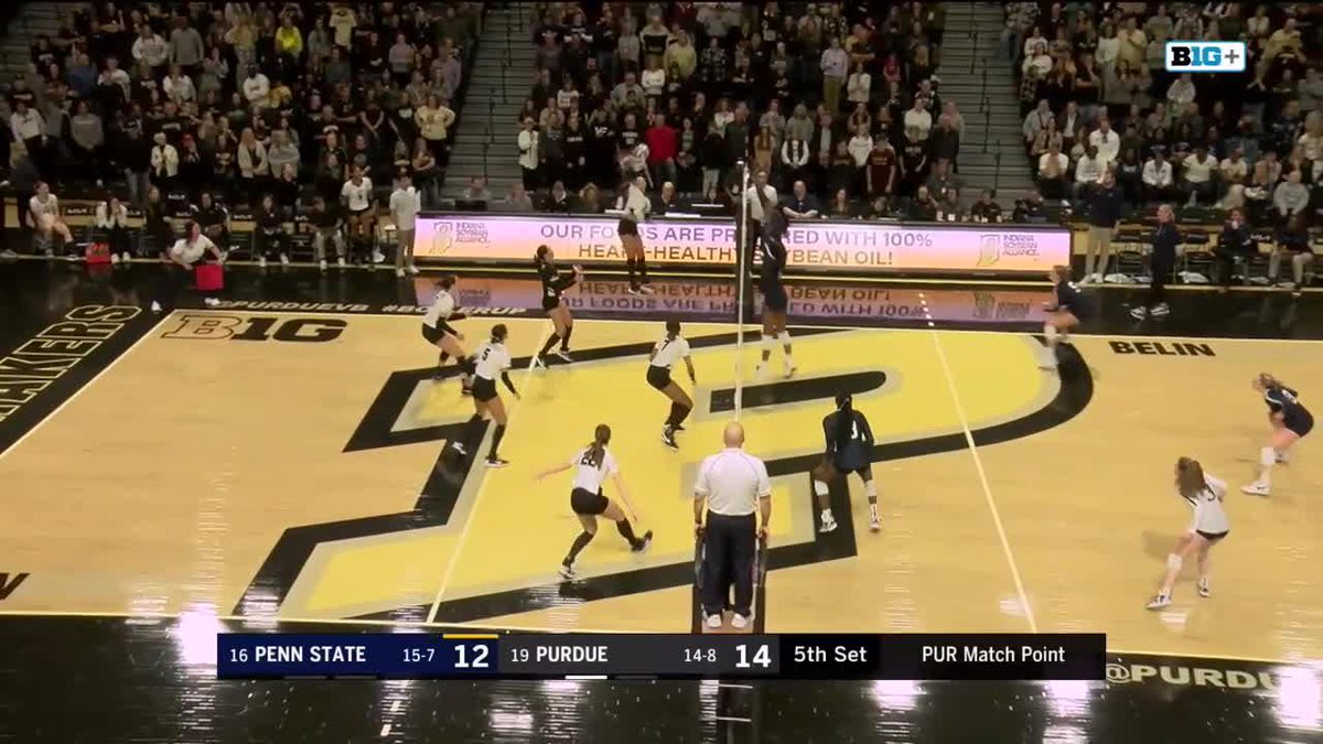 Chloe Chicoine is a special talent. Here's another look at some of the OH's career-high 27 kills in last year's Purdue Volleyball win over Penn State. ⤵️ #B1GVolleyball x Chloe Chicoine