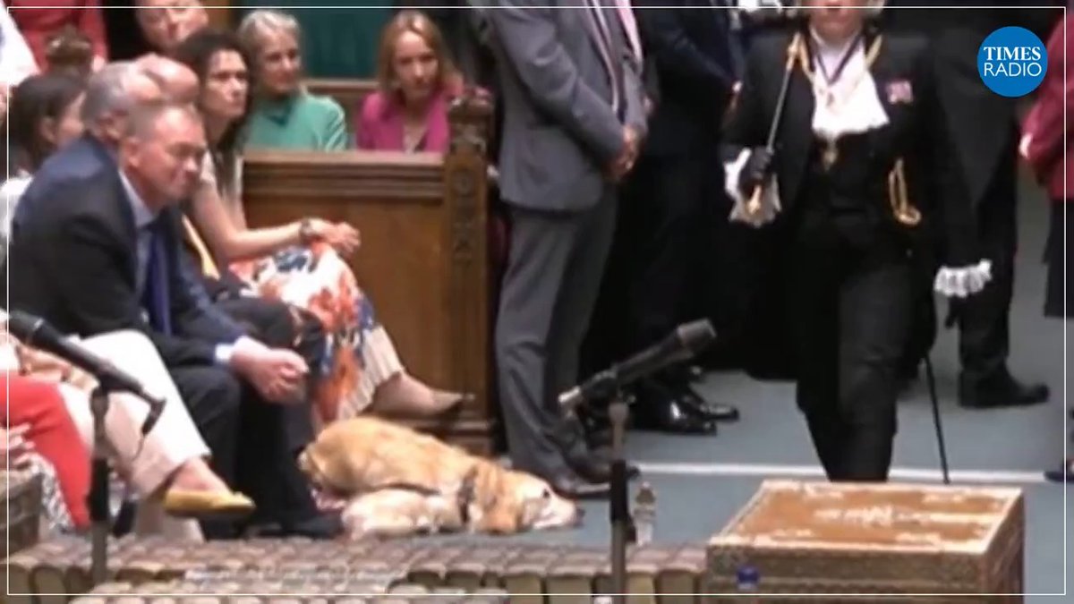 “I’m afraid to say she is a tart. She loves being loved by other people.” Steve Darling’s guide dog @RtHonJennie is loving the all the attention from her first week in parliament. 🎧 Matt Chorley | @CllrsDarling