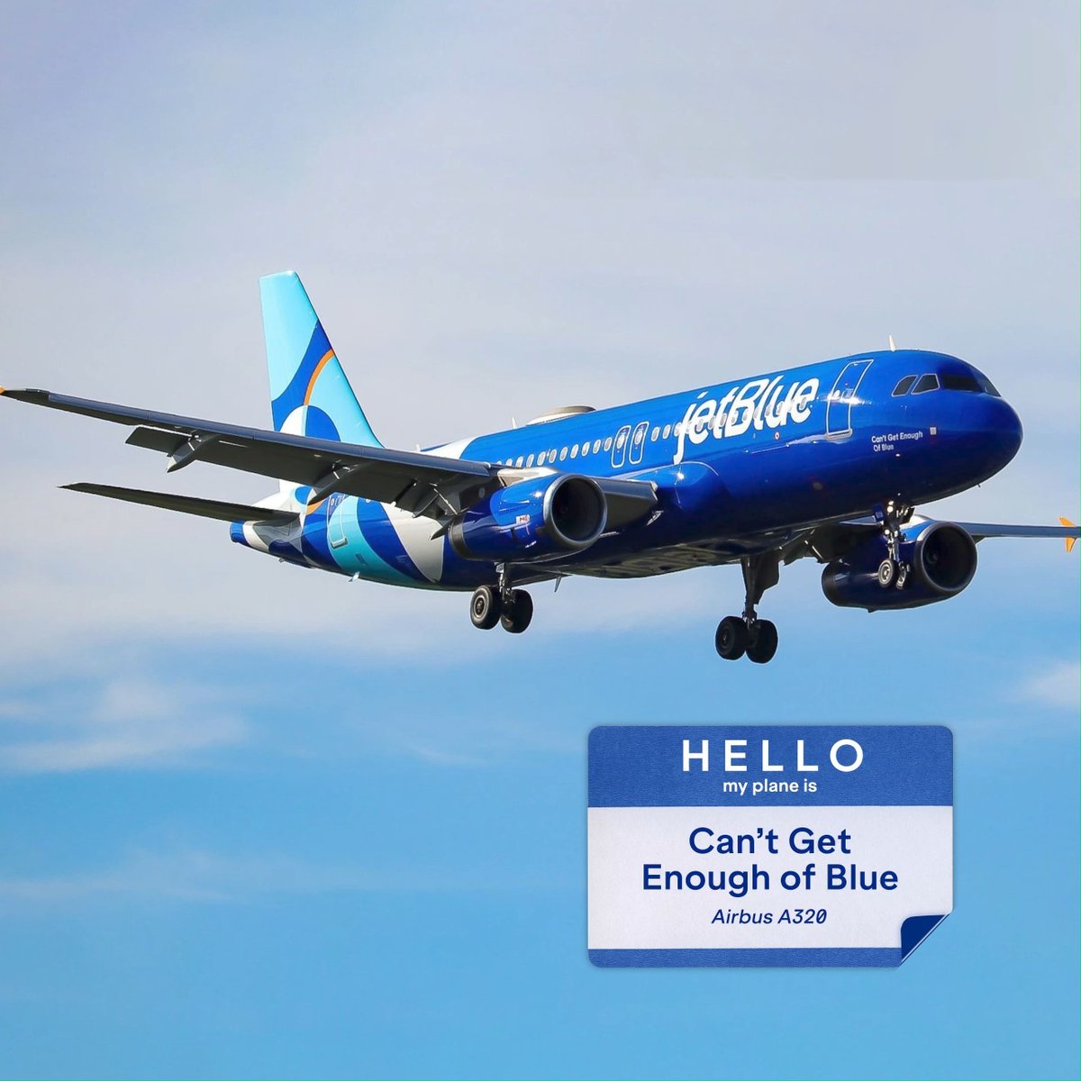 Hi, my name is Can’t Get Enough Of Blue. How many gallons of blue paint did it take to cover me? Guess in the comments! ⤵️