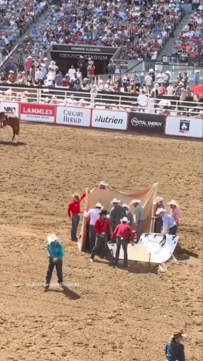 SHOCKING: New footage from an audience member at a Calgary Stampede steer wrestling event shows the suffering a young cow endured after having his neck SNAPPED by contestant Stetson Jorgensen on Monday. This is blatant & illegal animal abuse! 👉