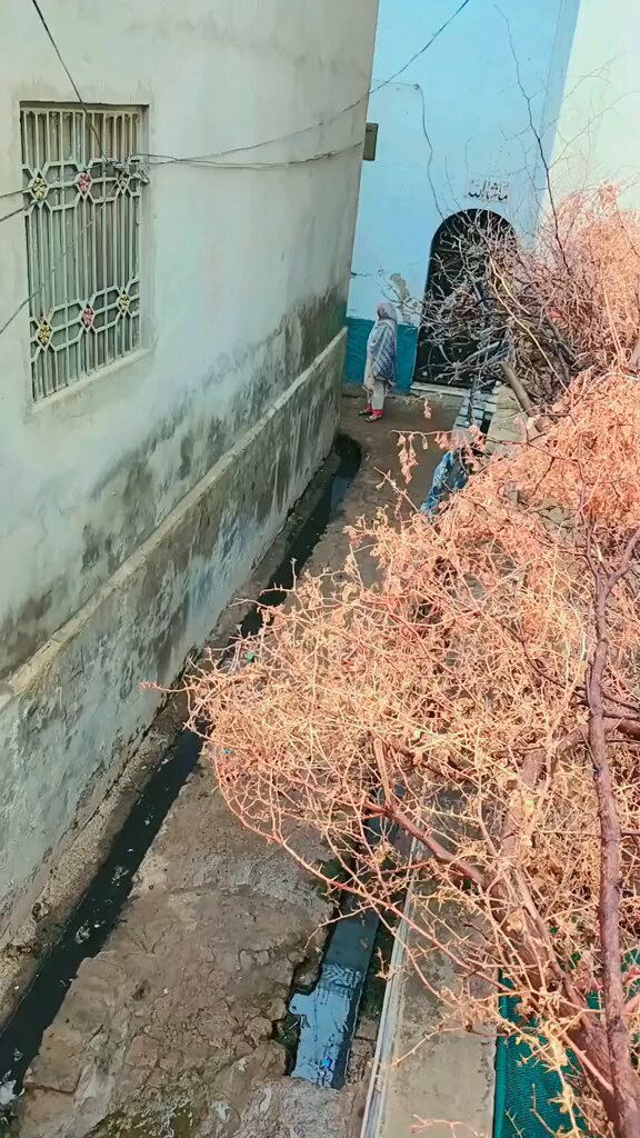 یہ دونوں میاں بیوی ہیں باقی میں کچھ نہیں کہتا آپ خود اندازہ لگا لیں اسلام کے قلعے کے باسی کس رستے پر گامزن ہیں اللہ معاف فرمائے سب کو