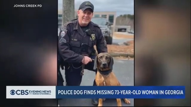 Meet Pandora, the 4-year-old police dog who became a hero by helping find a 73-year-old woman who went missing from her daughter's home in Georgia, using a scent from a pillowcase.