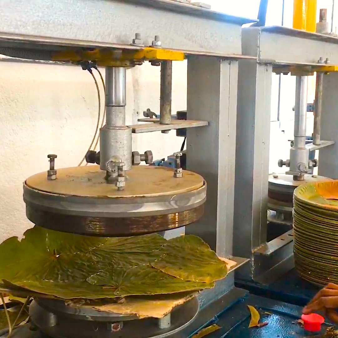 These plates are made from leaves! Company in Andhra Pradesh India 🇮🇳 sells biodegradable bowls and plates. The innovation we need! Hats off!