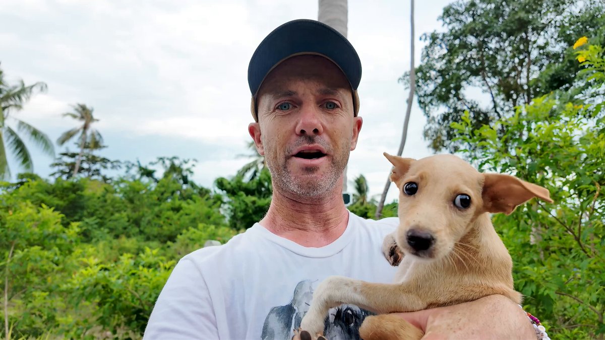 This is Candy. She is a tiny puppy we rescued with just 3 legs from the jungle in Thailand on Thursday. I don't know how she managed to survive alone but she's in the best place now. We'll build her up and hope someone falls in love with her. 😍🙏