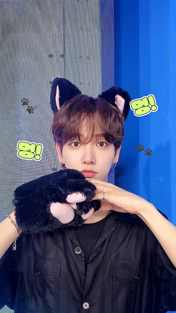 ૮꒰˵• ﻌ •˵꒱ა 명멍이차차 🐶🐾 (명멍이 저요 제발 저요 제가 아니면 안 돼요 저요) #엠카운트다운 #MCOUNTDOWN #명재현 #JAEHYUN #BOYNEXTDOOR #보이넥스트도어