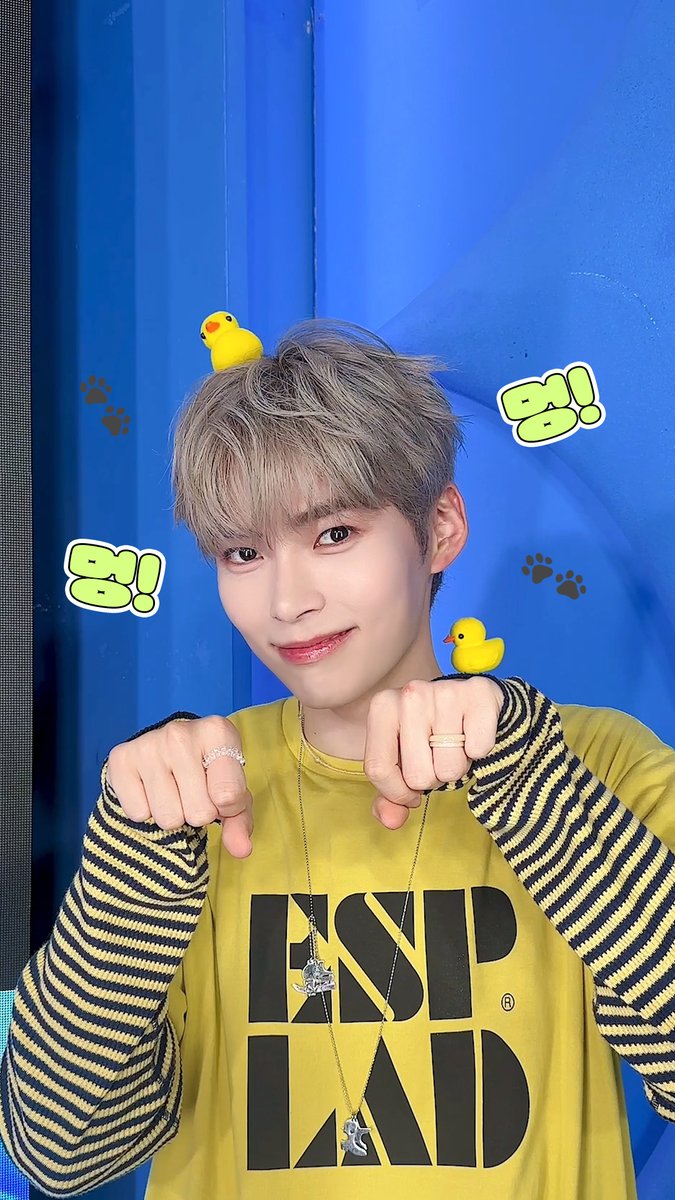 ૮꒰˵• ﻌ •˵꒱ა 햄멍이차차 🐶🐾 (헷 어때 참 귀엽죠잉~?) #엠카운트다운 #MCOUNTDOWN #성한빈 #SUNGHANBIN #ZEROBASEONE #제로베이스원