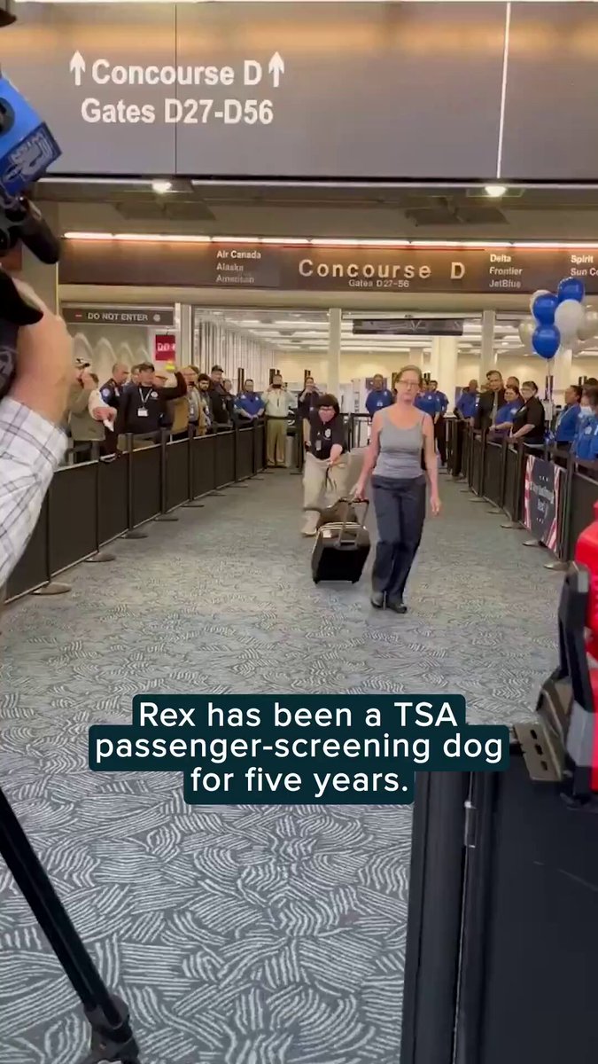 Watch this TSA screening dog's reaction to this adorable surprise at his retirement party. 🐶 ❤️