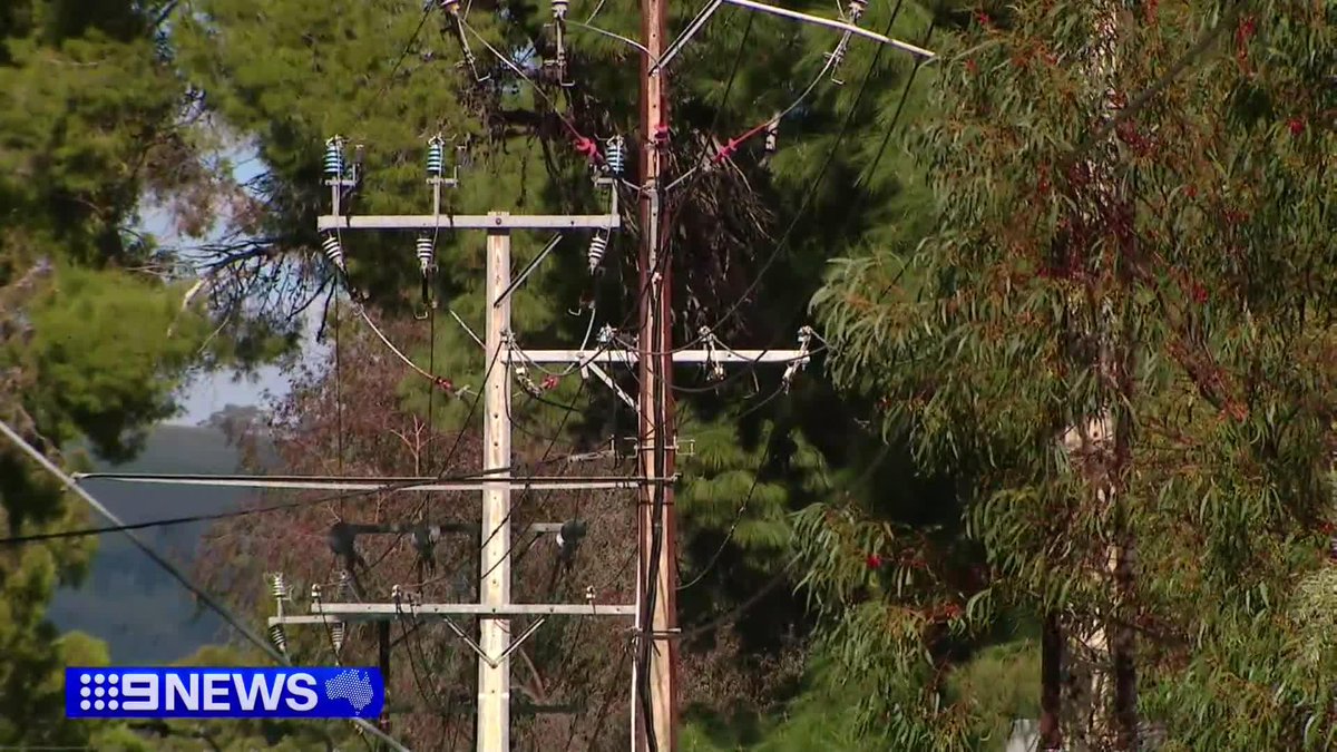Tomorrow is the 100 year anniversary of the stobie pole - we take a look back at the humble icon, born out of necessity, but cemented in our history. Will Di Fulvio #9News