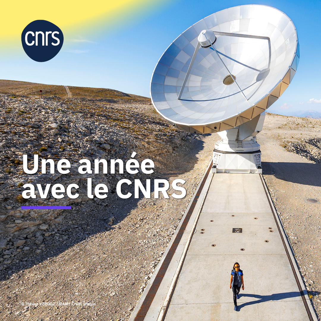 L'année 2023 a été riche en découvertes scientifiques, innovations à impact, actualités institutionnelles et grands événements de médiation scientifique. Plongez dans le nouveau rapport d'activité pour découvrir ces moments marquants. 👉
