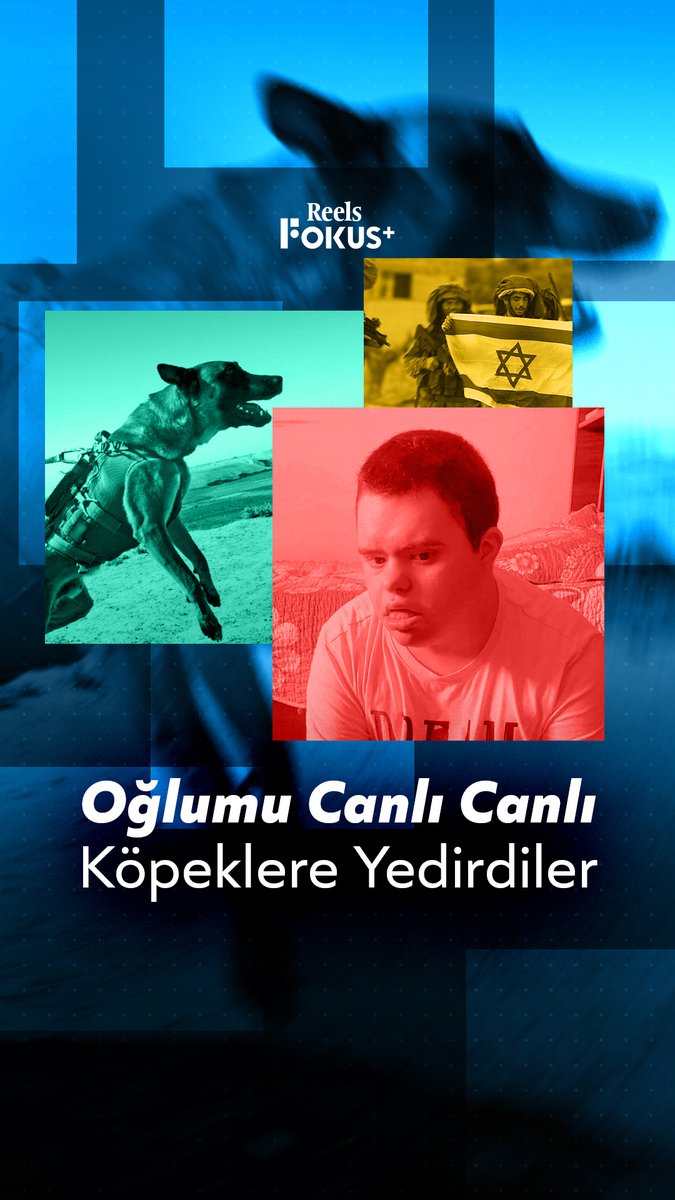 ➕ İsrail askerleri, down sendromlu Gazzeli Muhammed'in üzerine köpeklerini saldı. ▪️ Tüm aileyi evden çıkarıp Muhammed'i alıkoyan askerler, ona işkence yaparak vahşice katletti. #filistin #Gazze #insanhakları #downsyndrome