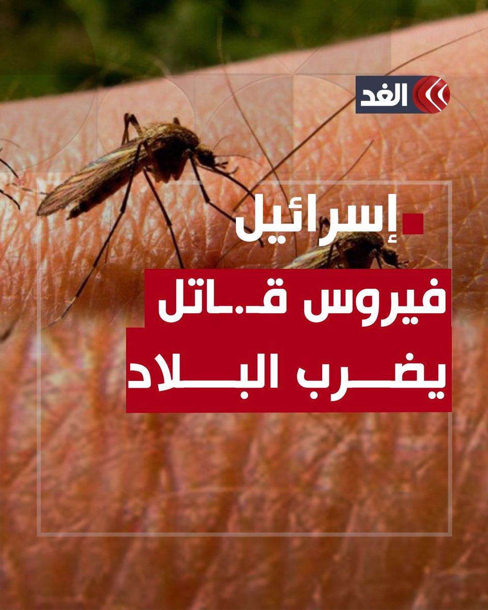 صحيفة إسرائيلية: فيروس حمى غرب النيل يضرب البلاد ويسجل أعلى نسبة من الإصابات #قناة_الغد