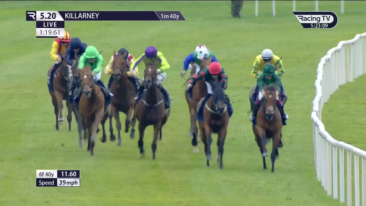🚨 You couldn't make this up if you tried! Green Triangle the well backed 11/10 favourite, runs out with the race at his mercy under Wayne Hassett close to the post! 🤯