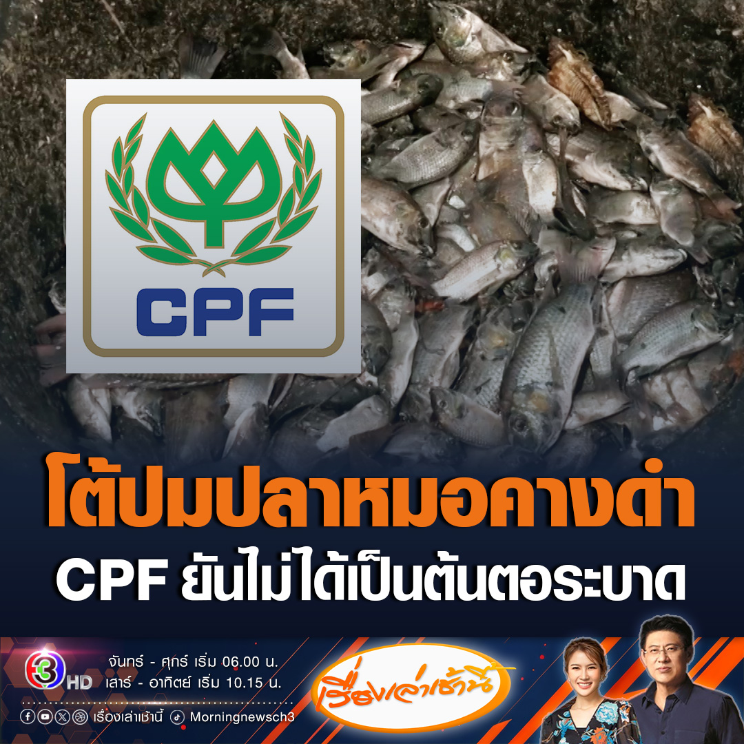 #เรื่องเล่าเช้านี้ ผู้บริหาร CPF ยืนยัน ปลาหมอคางดำระบาดไม่เกี่ยวกับบริษัท เคยนำเข้ามาเมื่อปี 14 ปีก่อน ก็ทำลายหมดแล้ว มีเอกสารบันทึกชัดเจน แต่ไม่รู้มีใครลักลอบเอาเข้ามาหรือไม่ เพราะเคยถูกเลี้ยงเป็นปลาสวยงาม #ข่าวช่อง3 #ข่าวสังคม #ปลาหมอคางดำ