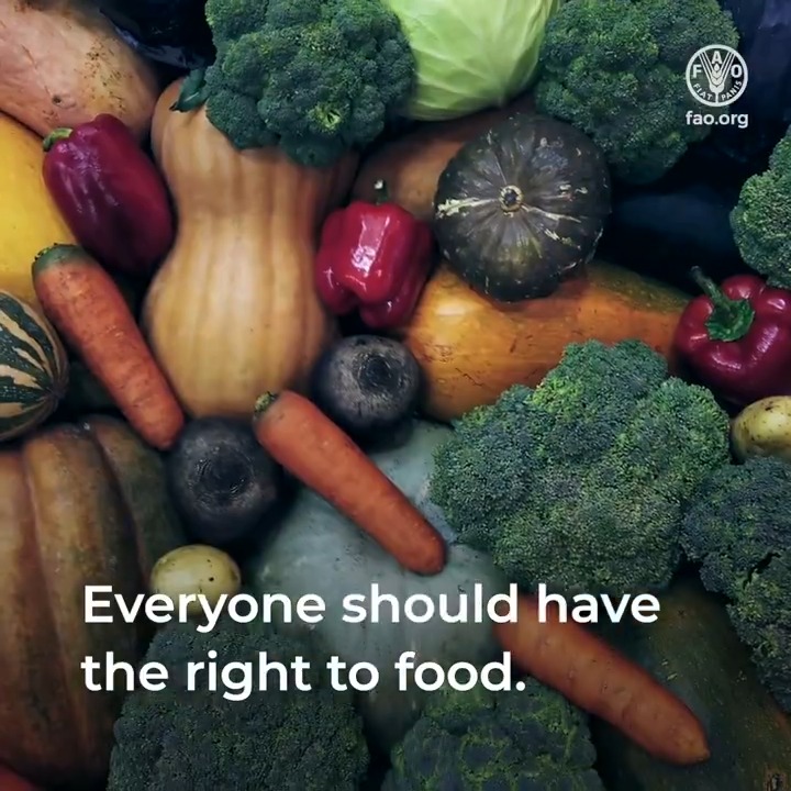 This year #WorldFoodDay talks about foods. Everyone should have access to enough 🥦 nutritious 🥔 affordable 🍎 safe 🍇 sustainable foods. Because the #RightToFood is a human right of every person, everywhere.