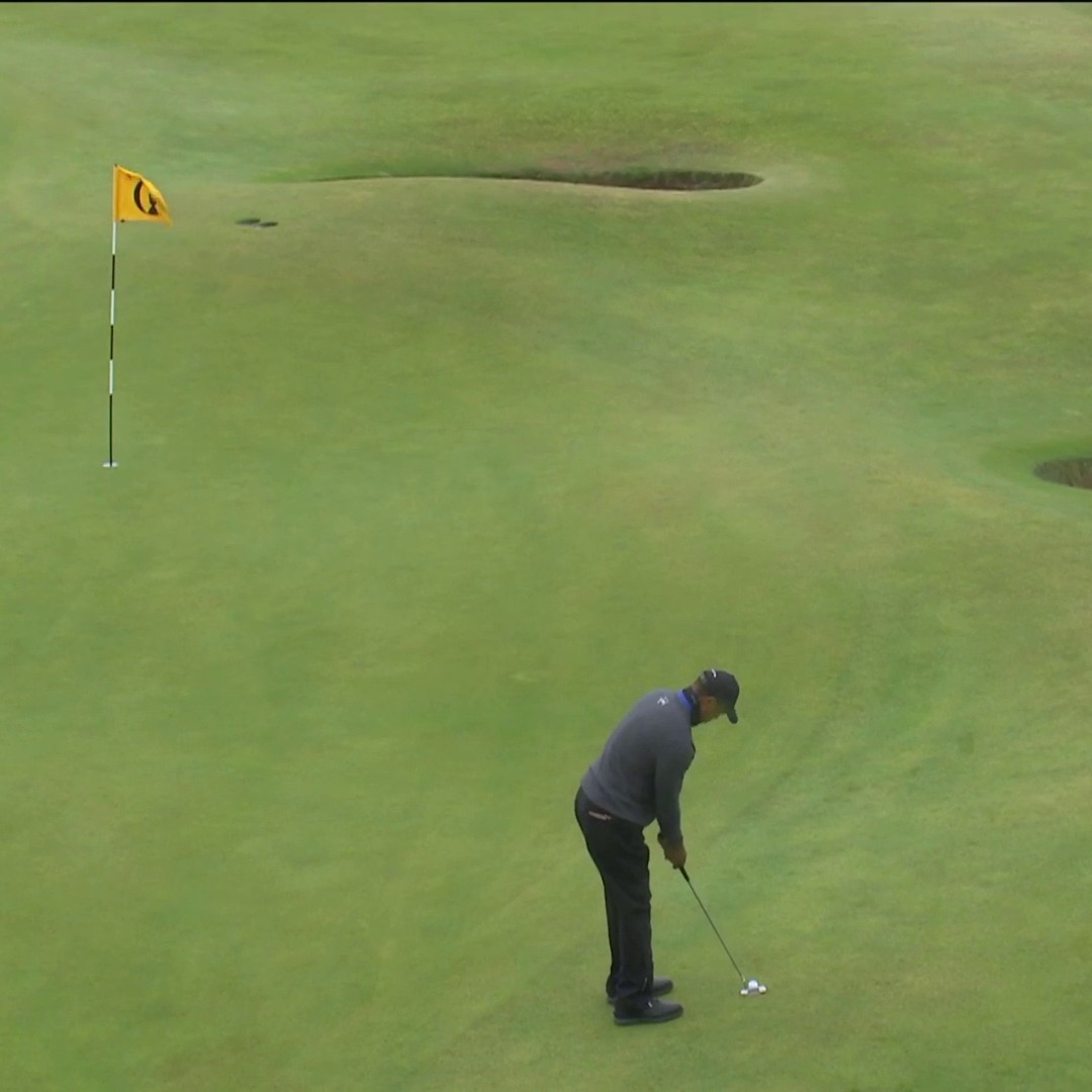 BIRD. FIST PUMP. TIGER.