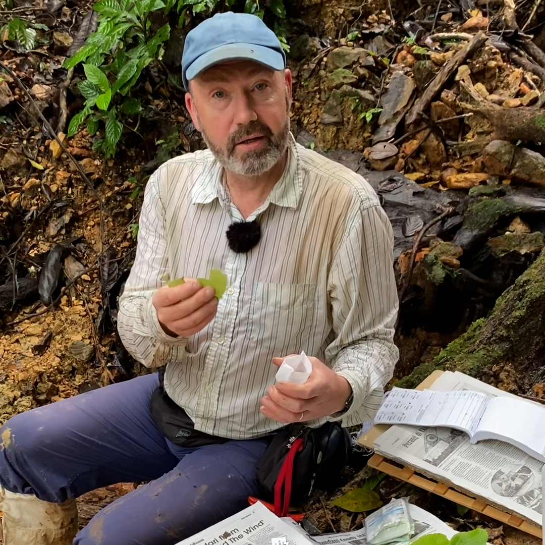 🧬🔬 PART 3 – Time for a cuppa? Find out how tea bags are involved in making a collection for DNA extraction! From the Sarawak rainforest, #TeamRBGE's Tropical Botanist @Scaphium talks us through how collected plant material is specifically prepared to enhance DNA extraction.