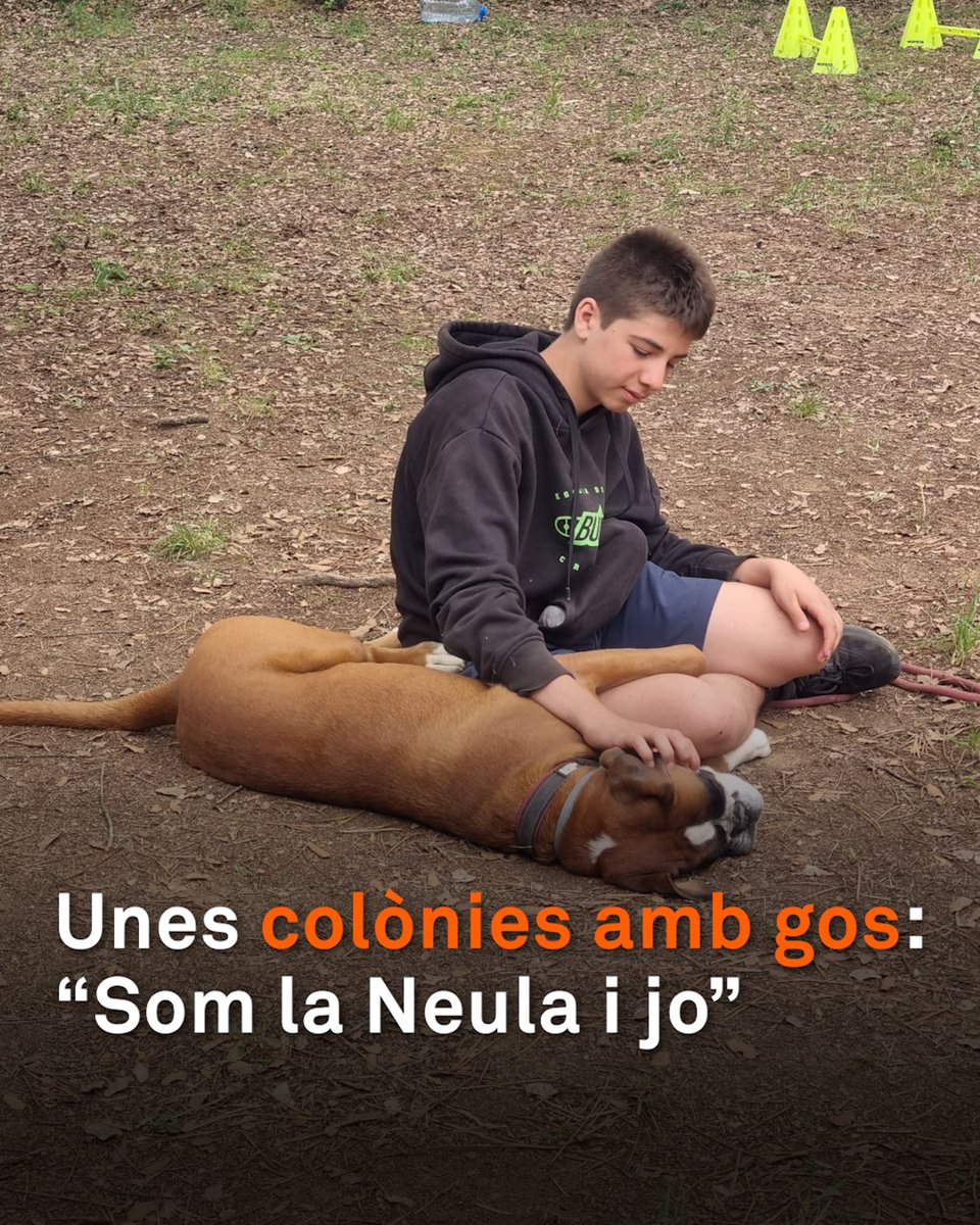 “Són com unes colònies normals, però amb gos.” Un grup de 25 nens i nenes conviuen durant set dies amb els seus animals de companyia a Cassà de la Selva. Una iniciativa diferent, amb educadors canins i un etòleg, per enfortir vincles