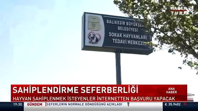 Sahiplendirme seferberliği... Hayvan sahiplenmek isteyenler internetten başvuru yapacak.