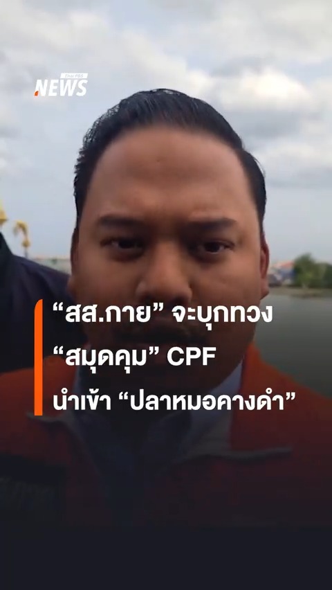 ณัฐชา บุญไชยอินสวัสดิ์ สส.พรรคก้าวไกล ลั่น ไปทวงคำตอบจาก #กรมประมง 23 ก.ค.67 ต้องได้คำตอบให้อนุฯ กมธ.อว.ทุกเรื่องที่ #CPF นำเข้า #ปลาหมอคางดำ ทั้งสมุดคุม, ครีบปลา และโหลดอง ต้องชัดเจน #พรรคก้าวไกล #ณัฐชา #ข่าววันนี้ #ข่าวไทยพีบีเอส #ข่าวที่คุณวางใจ #ThaiPBSnews #ThaiPBS