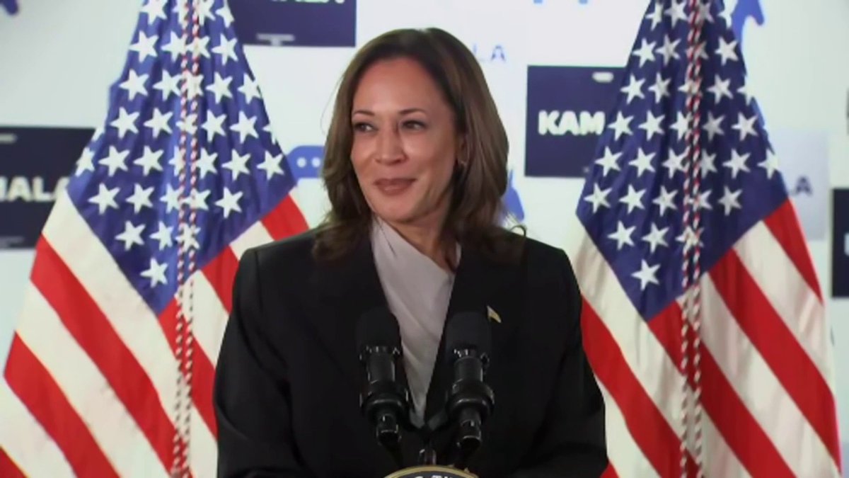 VP Kamala Harris: "I was a courtroom prosecutor. In those roles, I took on perpetrators of all kinds. Predators who abused women. Fraudsters who ripped off consumers. Cheaters who broke the rules for their own gain. So hear me when I say I know Donald Trump's type.