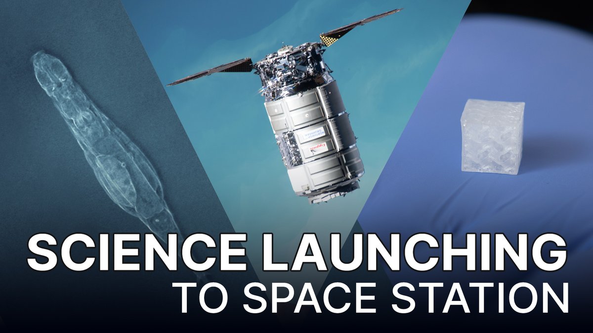 Science is scheduled to launch to International Space Station this August! A resupply mission brings new investigations and tech demos for astronauts to conduct in microgravity. Discover experiments on bioprinting, fluid movement, and more: